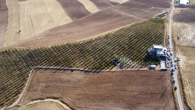 Elazığ'da 472 bin ağaçta badem hasadı başladı