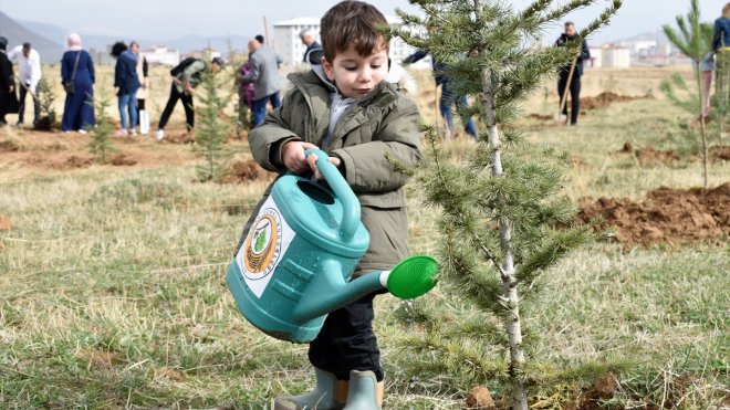 Van, Bitlis, Hakkari ve Muş'ta fidanlar toprakla buluşturuldu