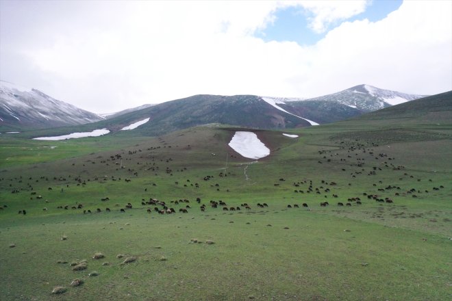 bir bahar bir yanı Ağrı