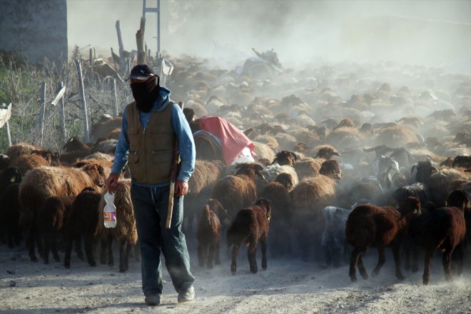 yayla Ağrı