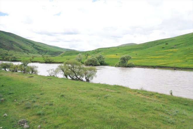 düzlüklerinde Ağrı