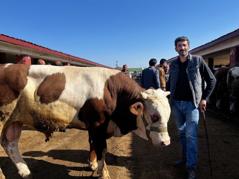 Doğudan batıya kurban sevkiyatı düştü3