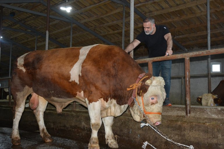 Ağrı, Ardahan ve Erzincan