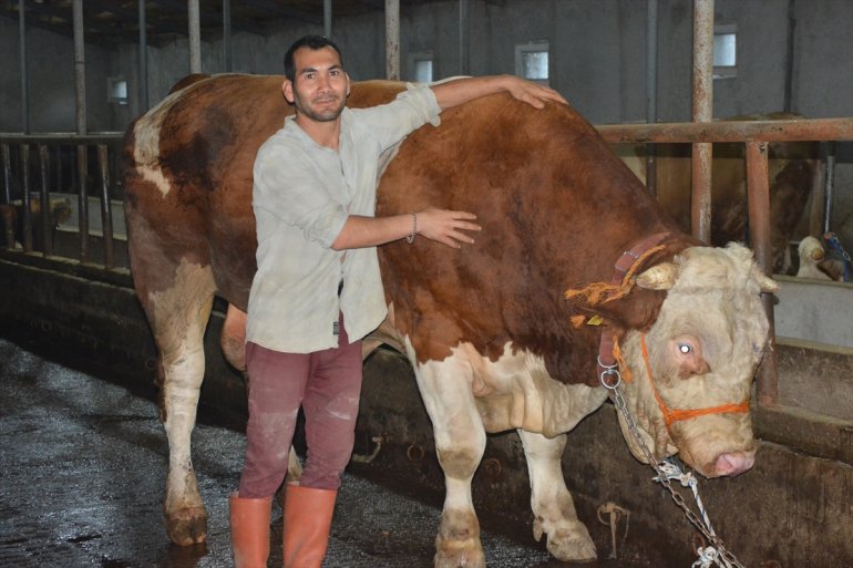 Ağrı, Ardahan ve Erzincan