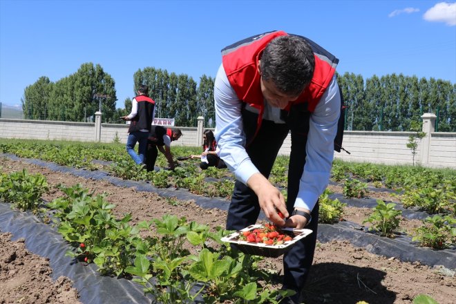 de öğretiliyor Ağrı