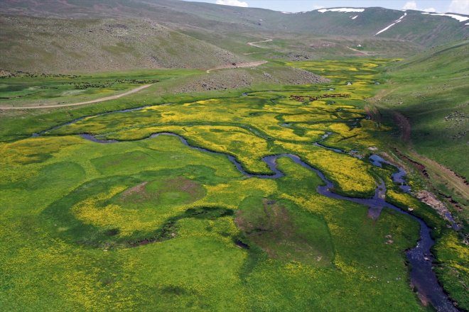 büründü bahar Ağrı