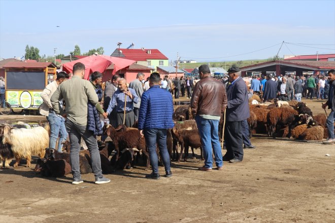 Kurban Bayramı Ağrı Hayvan yaşanıyor yoğunluğu Borsası