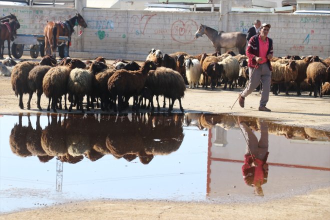 yaşanıyor Bayramı Ağrı Borsası