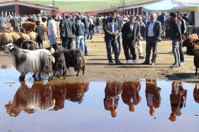 yaşanıyor Borsası