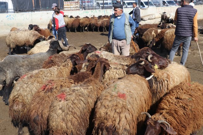 yaşanıyor Borsası