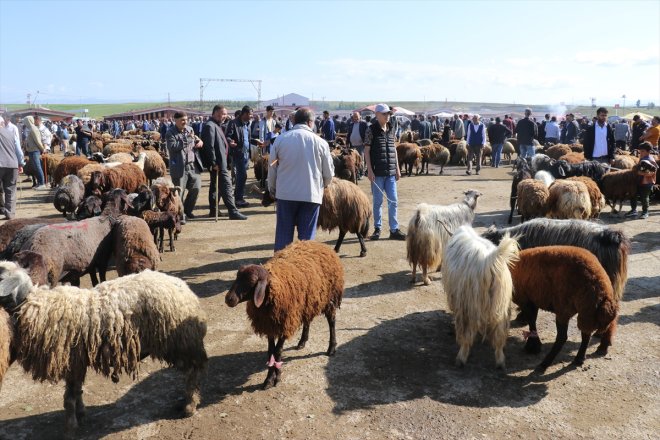 Kurban Ağrı yaşanıyor Borsası