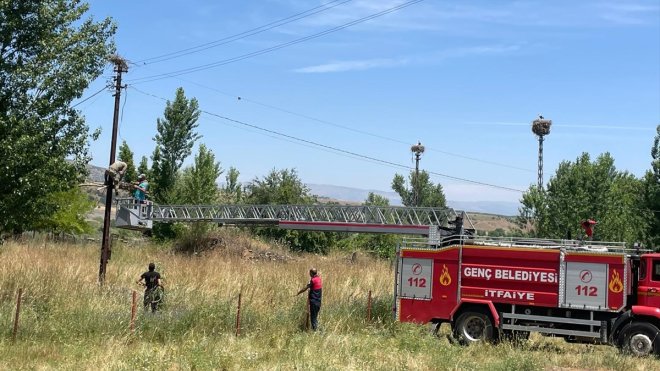 Bingöl'de itfaiye ekibi yıkılan leylek yuvasını onardı