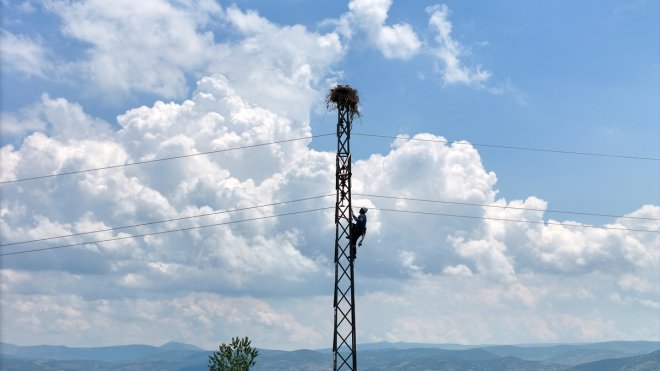 Kuşları korumak ve kesintisiz enerji için direklere izolasyon yapılıyor