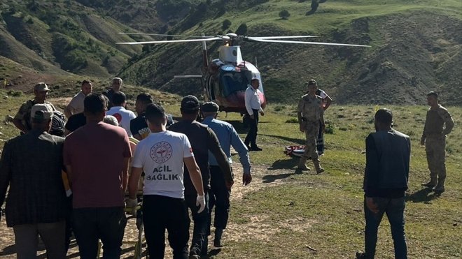 Bingöl'de yaylada böceğin başını ısırdığı kişi ambulans helikopterle hastaneye kaldırıldı