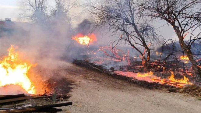 Elazığ'da çıkan yangında meyve ağaçları zarar gördü