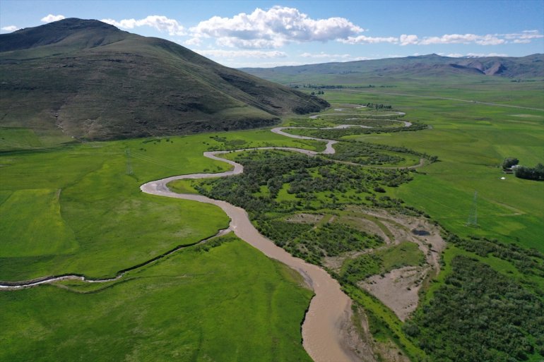 Murat Nehri