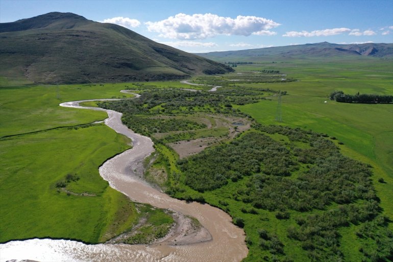 Murat Nehri