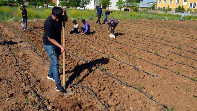 Muş'ta öğretmen ve öğrenciler, bostana dönüştürdükleri alana sebze ve meyve tohumları ekti