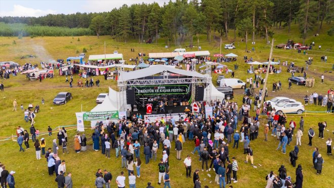 Ardahan'da '23. Ulusal Göle Kültür ve Kaşar Festivali' başladı