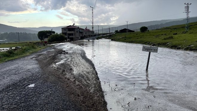 Ardahan'da sağanak nedeniyle ekili araziler zarar gördü