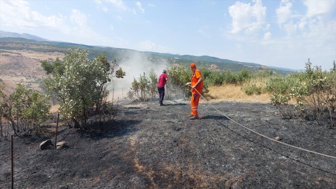 Bingöl'de çıkan orman ve örtü yangınları söndürüldü