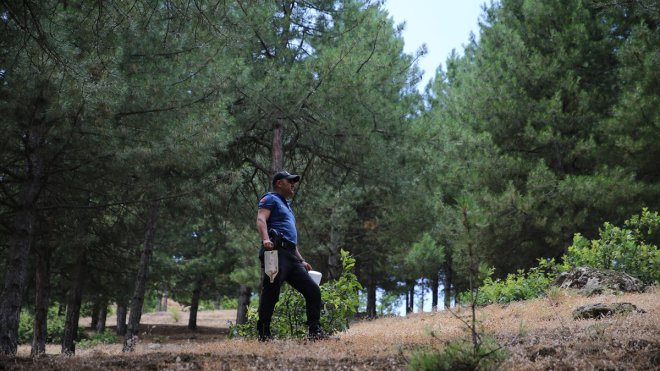 Bingöl'de orman yangınlarına karşı polis de devrede