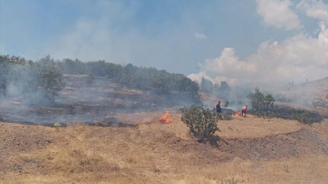 Bingöl'de ormanlık alanda çıkan yangın söndürüldü