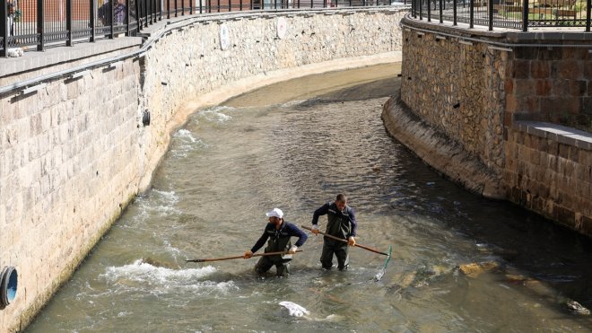 Bitlis'te dere yatakları temizleniyor