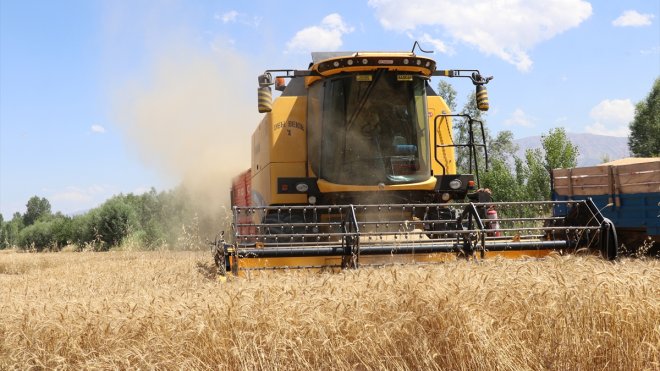 Modern tarım makineleri sayesinde Erzincan Ovası'nda hububat hasadı hızlandı