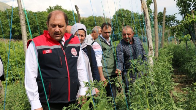 Erzincan'da etkili olan dolu tarım alanlarına zarar verdi