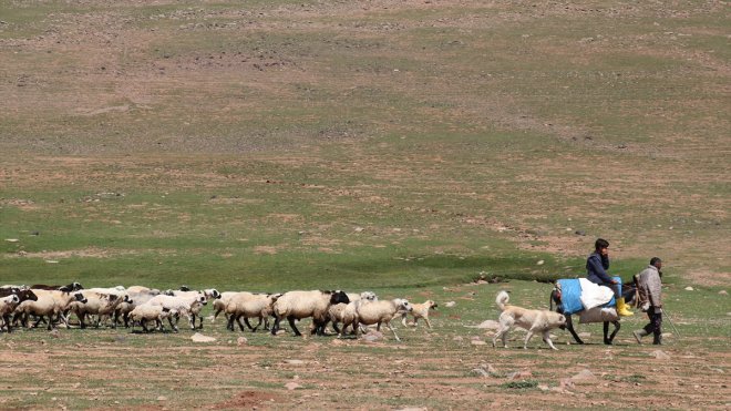 Erzurum'da 2 bin 600 rakımda göçer çocuklarına Kur'an-ı Kerim kursu veriliyor