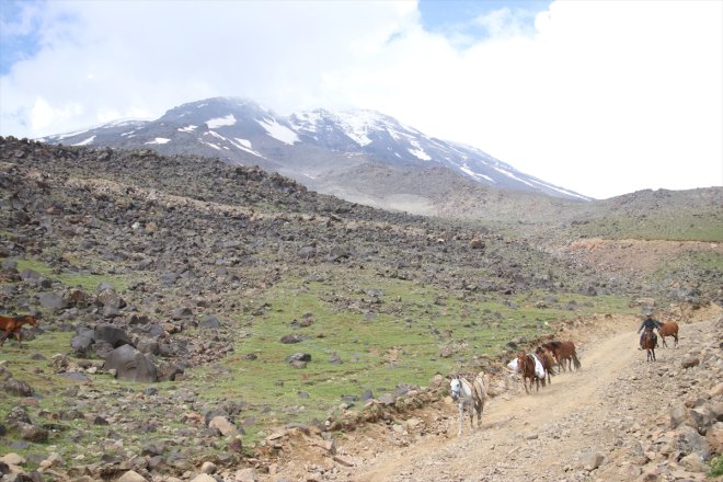 buzulların ardı doğumu gün Ağrı Dağı