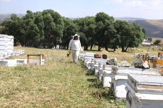 üreticisi Doğal balın kahraman kadın eşinin - AĞRI bir gözünde 11