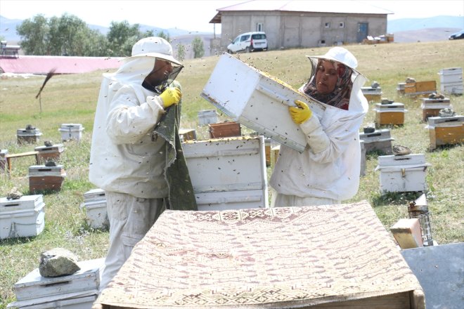 bir eşinin kahraman kadın balın gözünde üreticisi - AĞRI Doğal 14