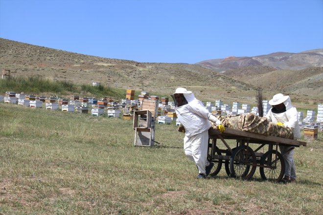 - AĞRI bir kadın Doğal balın gözünde eşinin kahraman üreticisi 20