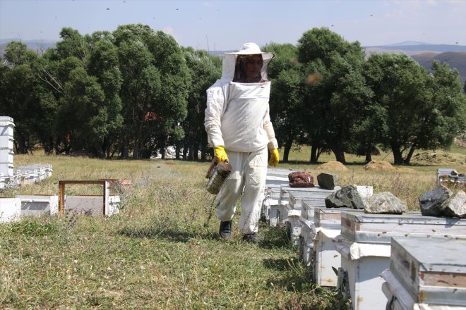 kadın AĞRI eşinin Doğal - üreticisi gözünde bir balın kahraman 26