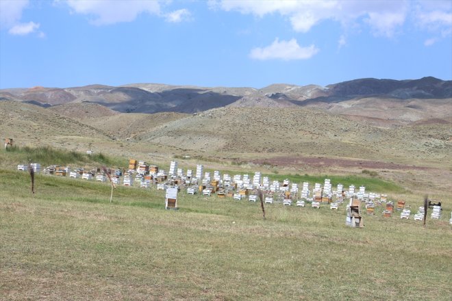 gözünde eşinin Doğal bir üreticisi AĞRI kahraman balın kadın - 6