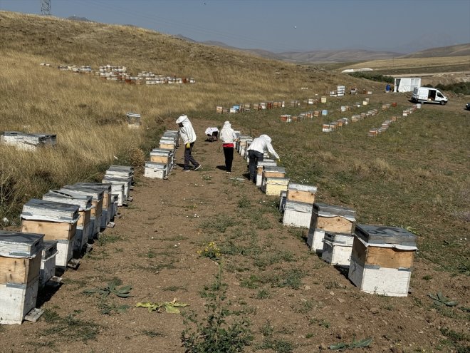 - AĞRI Kızılay