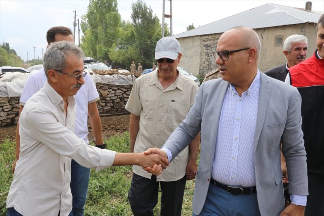 geven üretilen tescilli yükseklerinde başladı hasadı Ağrı