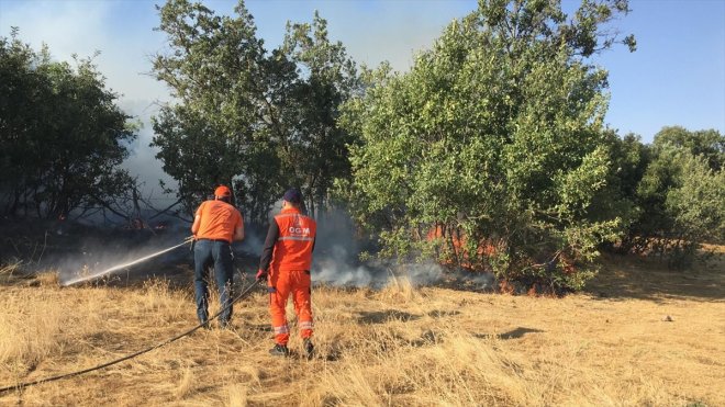 Bingöl'de çıkan orman ve örtü yangınları söndürüldü