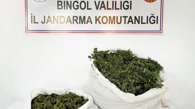 Bingöl'de 12 kilo 460 gram esrar ele geçirildi