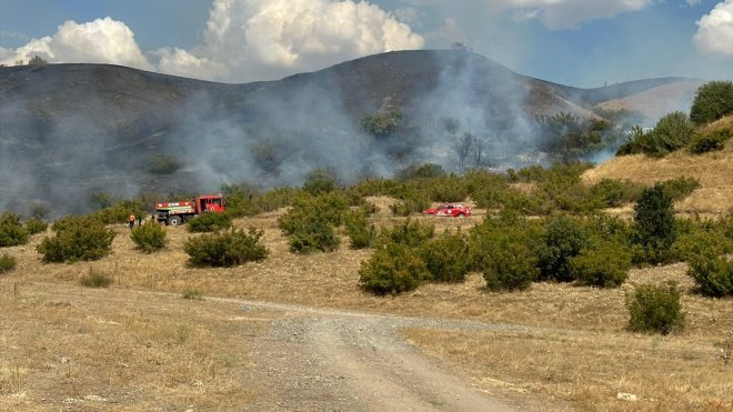 Bingöl'de mera ve ormanlık alanda çıkan söndürüldü