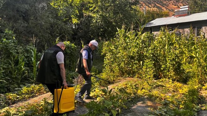 Hakkari'de çiftçilere 'sebze hastalıklarıyla mücadele' eğitimi verildi