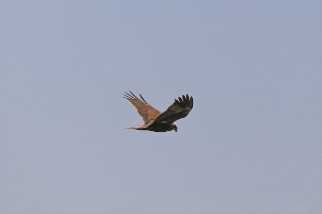 IĞDIR zirvedeki kaçan Gölü