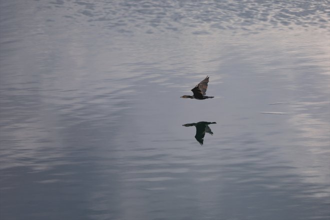 Balık IĞDIR Gölü