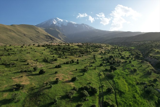 Ağrı - etkinliği Dağı