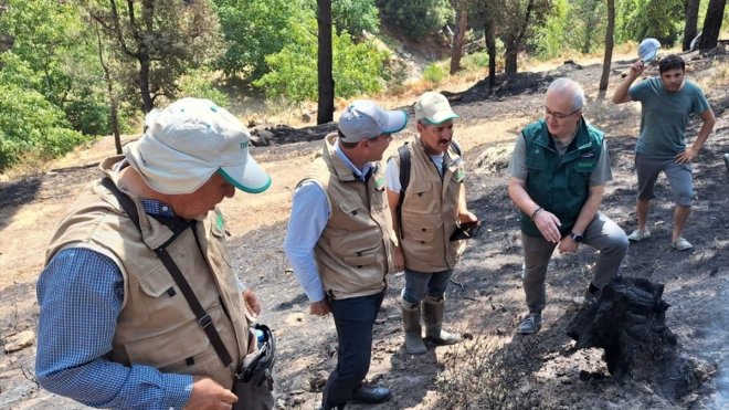 TARSİM'den Aydın ve Muğla'daki yangından etkilenen tarım alanlarını ziyaret