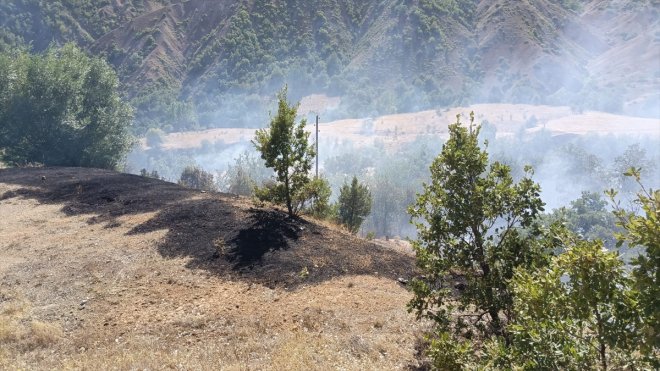 Tunceli'de ormanlık alanda çıkan yangına müdahale ediliyor