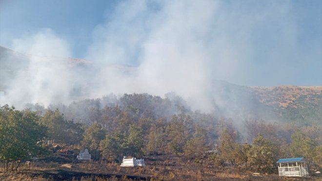 Tunceli'de ormanlık alanda çıkan yangına müdahale ediliyor