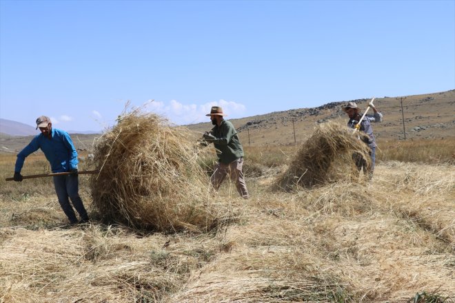 köylerinde Ağrı